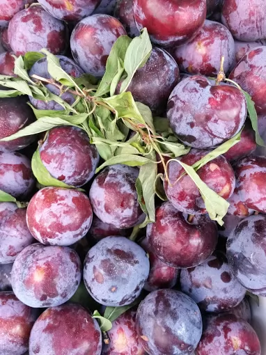 Güven Market Afyonkarahisar Merkez