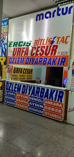 Özlem Diyarbakır Osmaniye Osmaniye Merkez