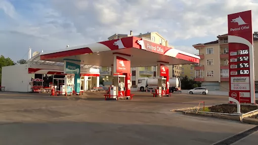 Petrol Ofisi Sinop Gerze