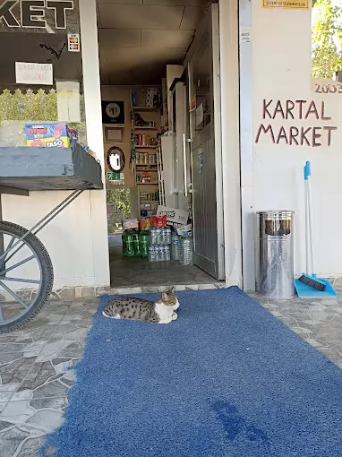 Kartal Market Iğdır Merkez