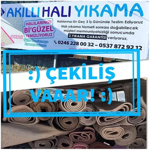 Akıllı halı yıkama Isparta Merkez