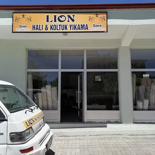 LİON HALI & KOLTUK YIKAMA Nevşehir Merkez