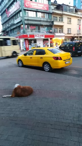 Soğuksu Taksi Zonguldak Merkez