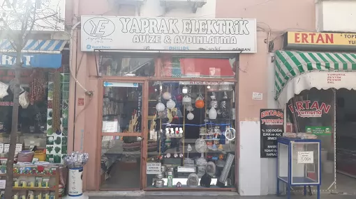 Yaprak Elektrik Eskişehir Odunpazarı