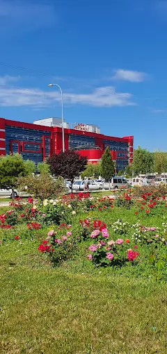 Afyonkarahisar Sağlık Bilimleri Üniversitesi Tıp Fakültesi Afyonkarahisar Merkez