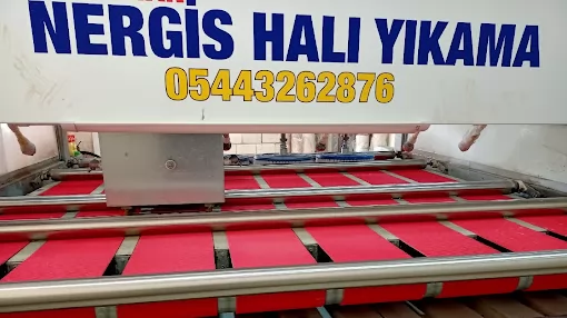 Adıyaman Nergis Halı ve Koltuk Yıkama Adıyaman Merkez