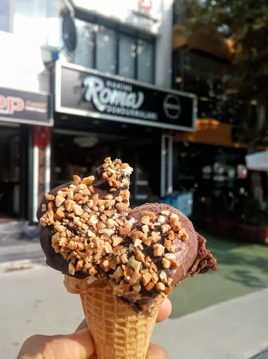 hakiki roma dondurmaları (boldo) Sinop Merkez