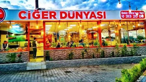 URFA CİĞER DÜNYASI Bekir Ustanın Yeri 04143132000 Şanlıurfa Haliliye