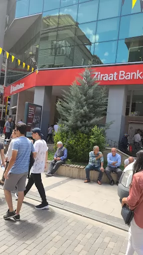 Ziraat Bankası Sivas Şubesi Sivas Merkez