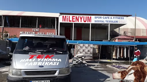 TEK HALI YIKAMA Iğdır Merkez