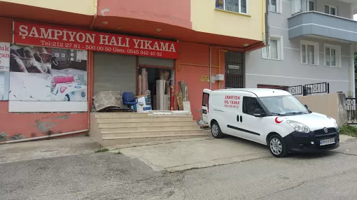 Şampiyon Halı Yıkama Giresun Merkez