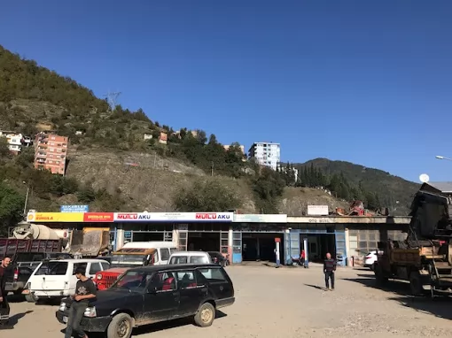 ŞEN OTO ELEKTRİK Artvin Borçka