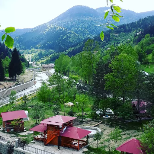 Park Restaurant Trabzon Düzköy