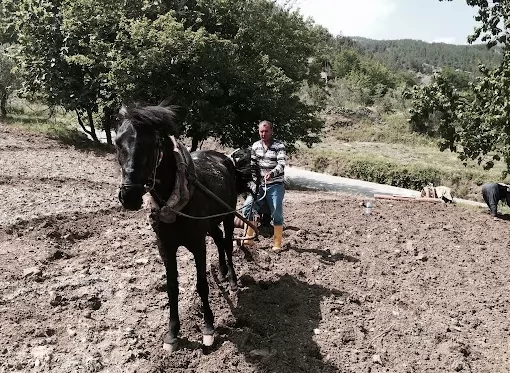 Bahçepınar Su Fabrikası Osmaniye Bahçe