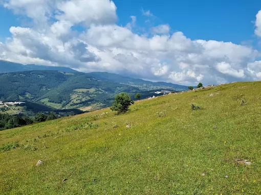 AKKUŞ BELEDİYESİ Ordu Akkuş