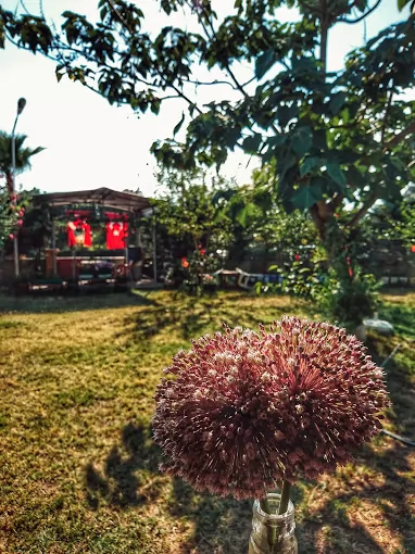 Karadeniz Balıkevi Hatay Payas