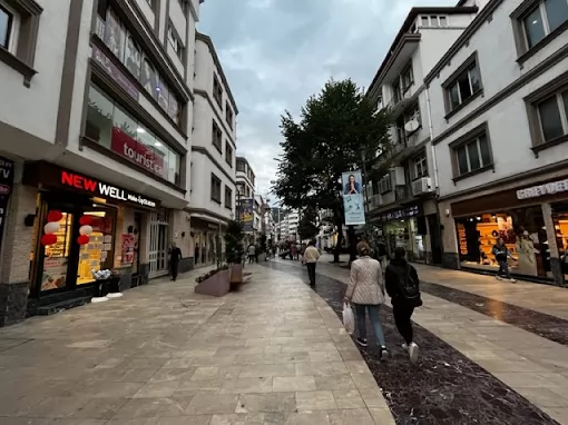 Fındık Tur - Touristica Ordu Ordu Altınordu