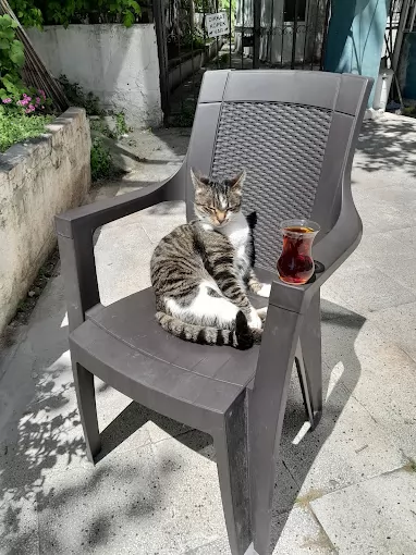 Durukan tesisat İstanbul Bahçelievler