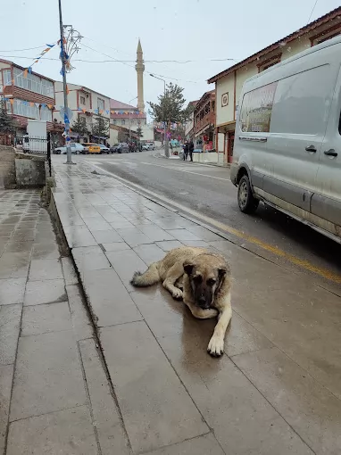 Şenkaya İlçe Devlet Hastanesi Erzurum Şenkaya