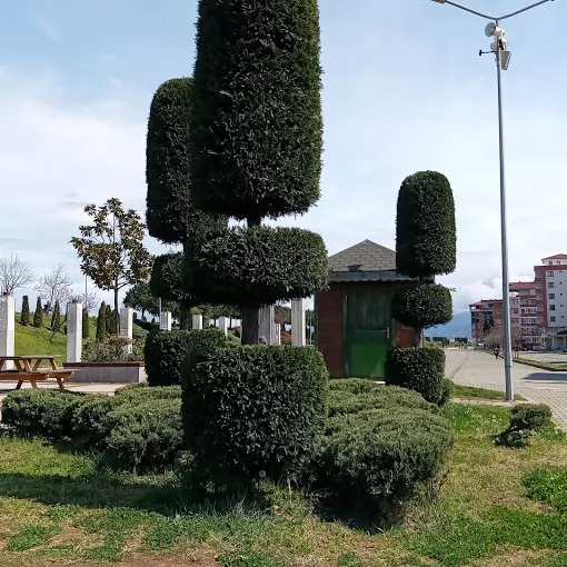 Yapı Kredi Bankası ATM Trabzon Araklı