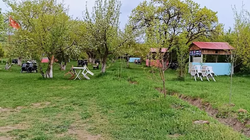 Kesik köprü Piknik Alanı Kars Kağızman