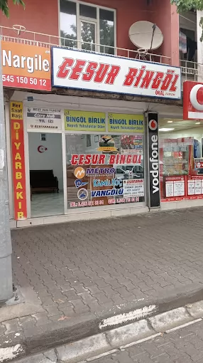 OKAL TURİZM Bingöl Genç