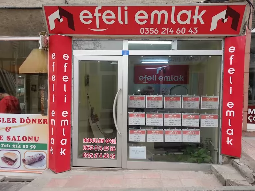 EFELİ EMLAK ve İNŞAAT Tokat Merkez