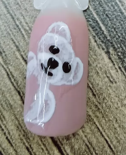 Paris Nailart Dilya güzellik salonu Kocaeli Kartepe