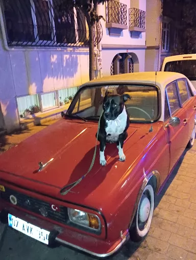 Kale Kilit İstanbul Beyoğlu