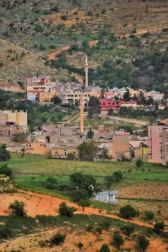 Yeşilli Mardin Yeşilli