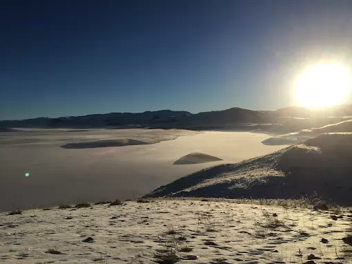 Yıldırım Halı Yıkama Ordu Altınordu