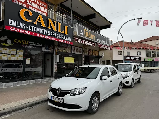 Canlı emlak oto kiralama Yozgat Saraykent