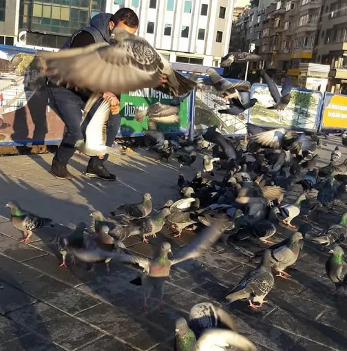 Aygaz Tüp Bayisi İstanbul Beyoğlu