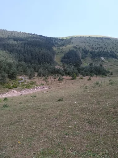 Murat Çakabay Market Ardahan Damal