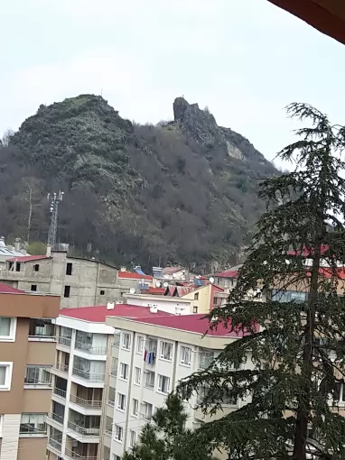 Göğüs Hastalıkları Hastanesi Giresun Merkez