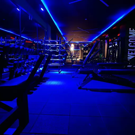 ECO-FİT FİTNESS (KİNG-KONG GYM) Erzincan Merkez