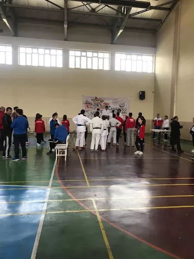 Yıldırım Akbulut Kapalı Spor Salonu Erzincan Merkez