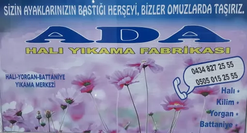 TATVAN ADA HALI YIKAMA Bitlis Tatvan