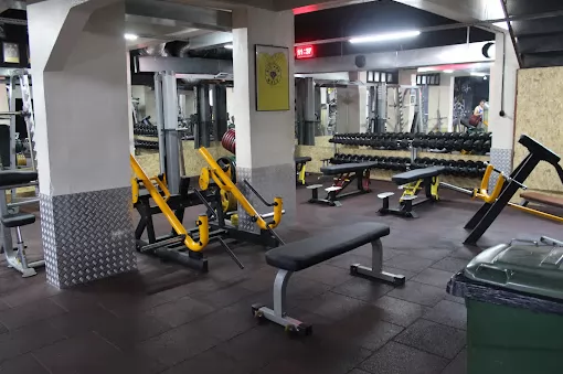 ON GYM Ordu Altınordu