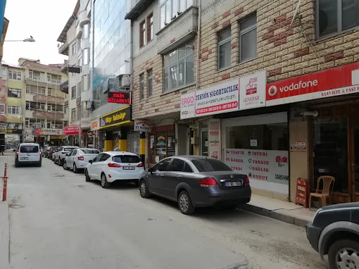 TEK YÖN SİGORTA ACENTELİĞİ Kastamonu Merkez