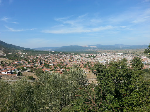 Kırkağaç Manisa Kırkağaç Kırkağaç Manisa Kırkağaç