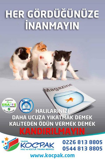 Koçpak Halı ve Koltuk Yıkama Merkezi Yalova Merkez Koçpak Halı ve Koltuk Yıkama Merkezi Yalova Merkez