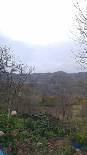Koray Fotoğrafçılık Bursa 