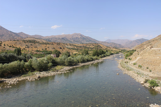 Kulp Diyarbakır Kulp Kulp Diyarbakır Kulp
