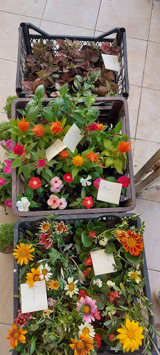 Aydın Market Manisa Aydın Market Manisa