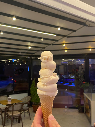 nido dondurma Ordu nido dondurma Ordu