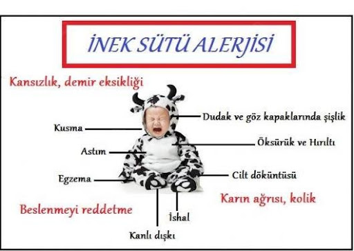 Prof. Dr. Şükrü Nail Güner, Çocuk Alerjisi Konya Meram