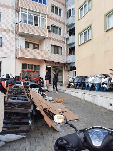 Protem Hali Yikama Muğla Protem Hali Yikama Muğla