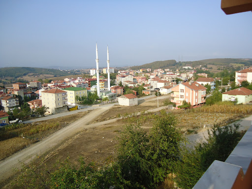 Asarcık Samsun Asarcık