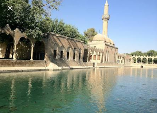 Şanlıurfa Cesur Şanlıurfa 